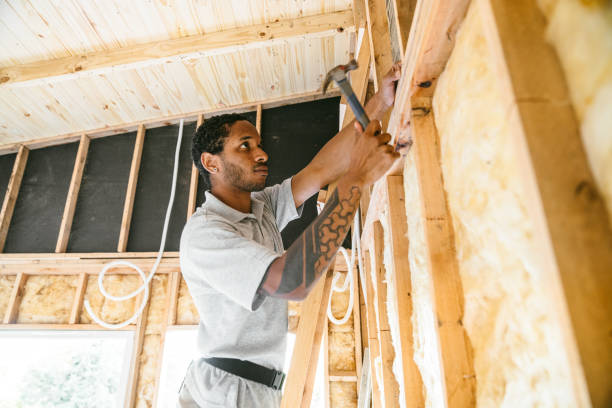 Best Crawl Space Insulation  in Coyne Center, IL